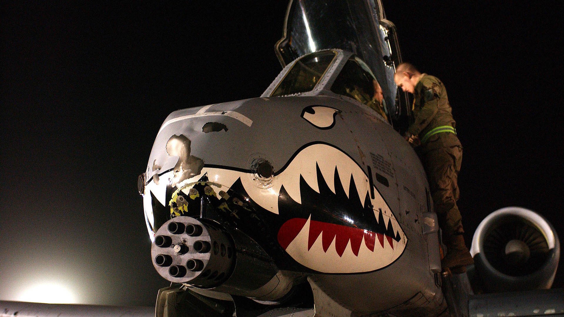 巴西骑手安娜·卡塔琳娜在巴黎奥运会障碍赛中获得铜牌，展现坚韧精神。