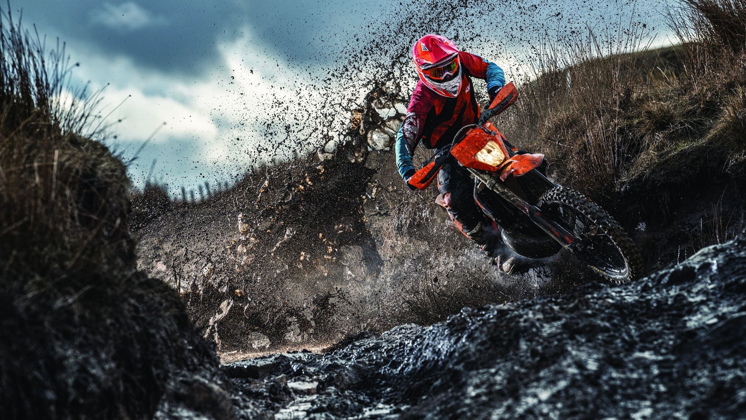 开云体育网页版-拉尼·帕利斯特突破自我刷新最佳成绩，尼拉帕里